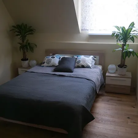 Marco - Stare - Super Wi Fi *